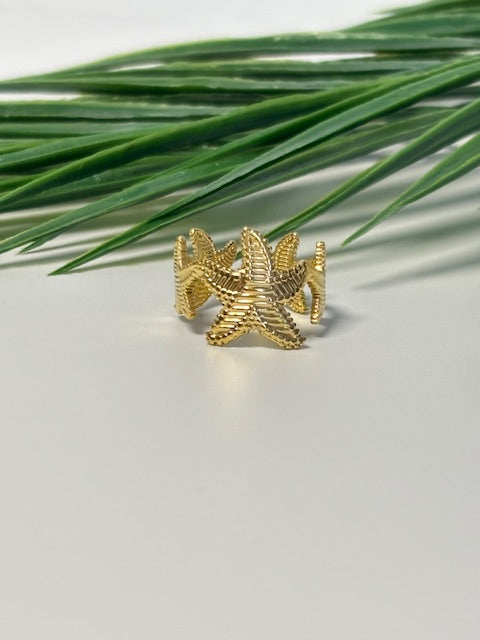Star ring goud